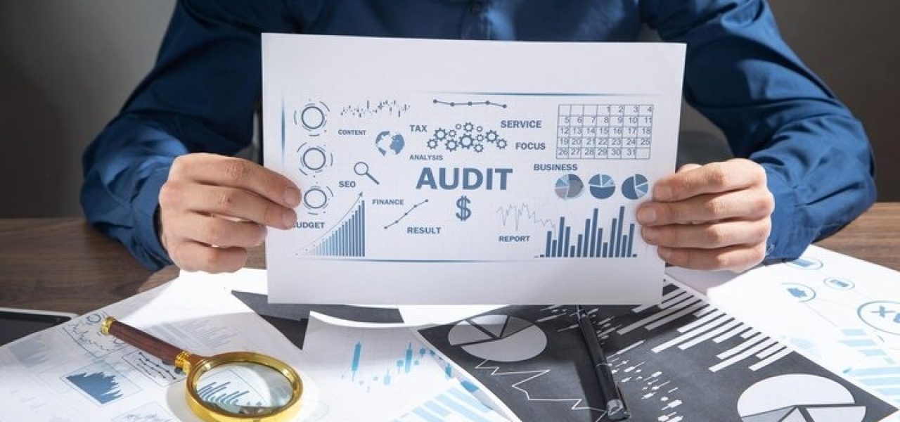 man-showing-audit-business-chart